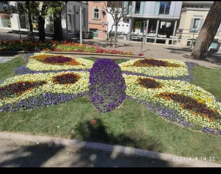 Portico 32 - Merano Centro ภายนอก รูปภาพ